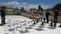 JİMNASTİK SALONU - Ulaş'ta Satranç Turnuvası Düzenlendi