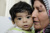 KARACİĞER YETMEZLİĞİ - 7 Aylık Mert Annesinin Karaciğeri İle Hayata Tutundu