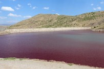 GIDA BOYASI - Arapgir'de Göletteki Sızıntıyı Bulmak İçin Gıda Boyası Döküldü