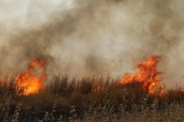 ÜÇKUYU - Diyarbakır'da Korkutan Anız Yangını