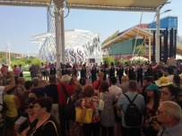 Karadeniz Fındığı İtalyanlara Horon Oynattı