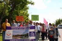 PİRİ REİS - 'Ramazanda Sağlıklı Besleniyoruz' Temalı Yürüyüş Etkinliği