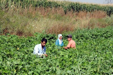 Batman'da Hava Sıcaklığı