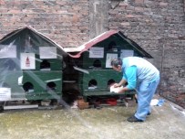 Beyoğlu Belediyesi Sokak Hayvanları İçin Seferber