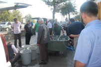 PELITÖZÜ - Bilecik'te 24 Bin 100 Adet Sazan Yavrusu Göletlere Salındı