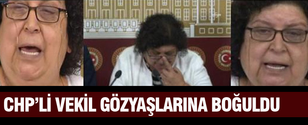 CHP Ankara Milletvekili Sarıhan Gözyaşlarına Boğuldu
