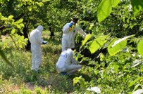 BEYDAĞı - Koku Cesede Götürdü