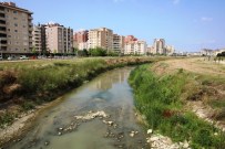 AYVALı - 'Ayvalı Dere Islah Edilsin'