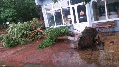 Tekirdağ'da Dolu Ve Hortum Dehşeti