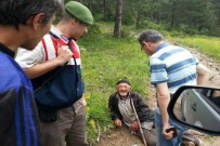 Bolu'da Kaybolan Yaşlı Adam Ormanda Bulundu