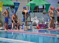 Bursa Büyükşehir Belediyesi Yüzme Kupası