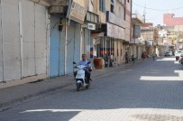 YAZ MEVSİMİ - Cizre'de 'Siesta' Zamanı
