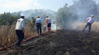 Koyulhisar'da Ekili Tarlalar Yandı