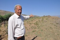 Tarihi Selçuklu Mezarlığı Kaderine Terk Edildi