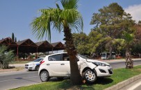 Ağaca Çarpan Otomobilin Sürücüsü Yaralandı