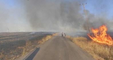 Anız Yangını Nedeniyle Direkleri Yanan Köyler Elektiriğe Kavuştu