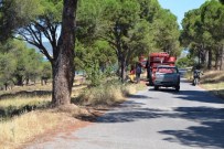 SİGARA İZMARİTİ - Atılan Sigara İzmariti Ormanı Kül Ediyordu