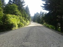 KAÇAK YAPILAŞMA - DOKAP Başkanı 'Yeşil Yol'u Savundu