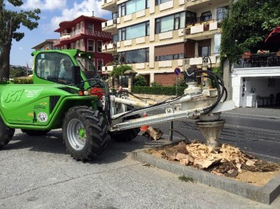 İBB'den 'ağaç kesimi' açıklaması