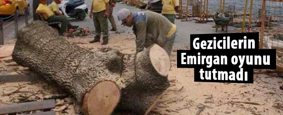 İBB'den 'ağaç kesimi' açıklaması