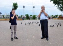 KUŞ DILI - Kuş Dili Teknolojiye Meydan Okuyacak
