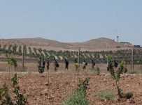 Suriye'den Türkiye'ye Geçmeye Çalıan 450 Kişi Yakalandı