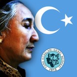 ULUSLARARASI AF ÖRGÜTÜ - Türk Ocakları Rabia Kadir'in Türkiye'ye Girebilmesi İçin İmza Kampanyası Başlattı
