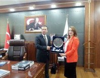 DIYARBAKıR TICARET VE SANAYI ODASı - Atasoy, UNESCO Listesine Giren Tarihi Yerlerinde Temaslarda Bulundu