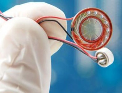 'Böcek' davasının gerekçeli kararı açıklandı