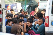 TEPE LAMBASI - Çanakkale'de 1 Haftada Bin Kaçak Göçmen Yakalandı