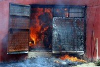 BÜYÜKBAŞ HAYVANLAR - Çanakkale'de Yangın