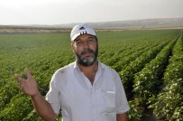 SİLVAN BARAJI - Güneydoğu'nun Bereketli Toprakları Suya Kavuşmayı Bekliyor