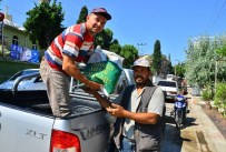 MISIR TOHUMU - İzmir Büyükşehir Belediyesi'nden Kınıklı Çiftçilere Yardım Eli