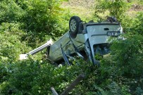 YEŞILALAN - Ordu'da Trafik Kazaları Açıklaması 1 Ölü, 10 Yaralı