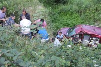 Rize'de Trafik Kazası Açıklaması 1 Ölü, 3 Yaralı