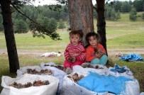 KOZALAK - Temmuz Ayında 'Kışlık Yakacak' Telaşındalar