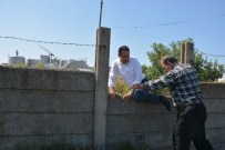 Termik Santralin Adını Duyan Vekil Duvarları Aştı