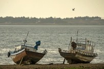 İNCİ KEFALİ - Van Gölü'nde Av Yasağı Bitiyor