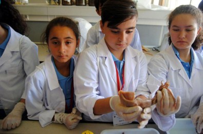 'Yerküremizde Geleceğin Evine Gizemli Yolculuk Yaz Bilim Kampı' Projesi