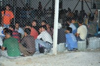 159 Kaçak Göçmen Boğulmak Üzereyken Kurtarıldı