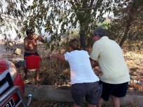 ORTAKENT YAHŞI - Bodrum'da Çıkan Yangın Lüks Villalara Kadar İlerledi