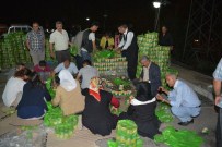 DİLEK HATİPOĞLU - Hakkari'de Muhtaç Ailelere Yardım