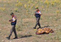 Otomobil İle Motosiklet Çarpıştı Açıklaması 2 Ölü, 5 Yaralı