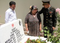 ŞEHİT ANNESİ - 36 Yıldır Dinmeyen Acı