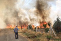 Adıyaman'da Anız Yangını