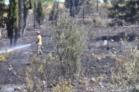Çanakkale'de Makilik Ve Orman Yangını