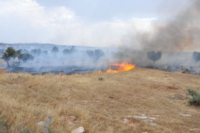 Dargeçit'te Korkutan Yangın