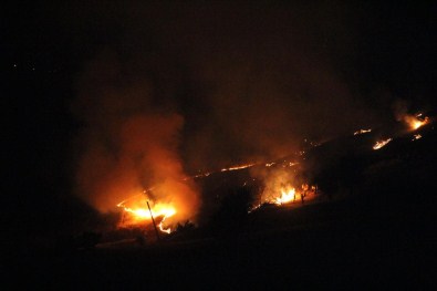 Elazığ'da Örtü Ve Bahçe Yangını