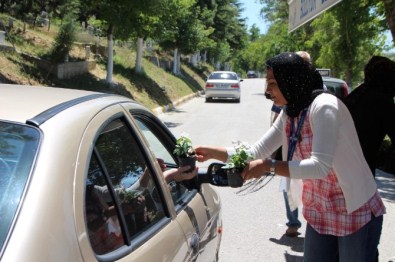 Kabir Ziyaretine Gelenlere 10 Bini Aşkın Çiçek