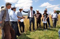 Kütahya'nın 305 Bin Hektar Tarım Arazisi Var